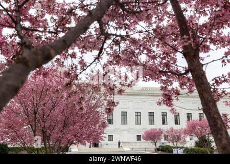 Washington, District of Columbia, USA. 4 marzo 2024. La scena al di fuori della Corte Suprema degli Stati Uniti lunedì 4 marzo 2024 a Washington. La corte ha emesso oggi un parere unanime secondo cui Donald Trump può rimanere sul voto per il presidente. (Immagine di credito: © Eric Kayne/ZUMA Press Wire) SOLO PER USO EDITORIALE! Non per USO commerciale! Crediti: ZUMA Press, Inc./Alamy Live News Foto Stock