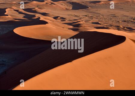 Dune di sabbia rossa pietrificate con persone che camminano sulla cresta, Sossusvlei, Namibia Foto Stock