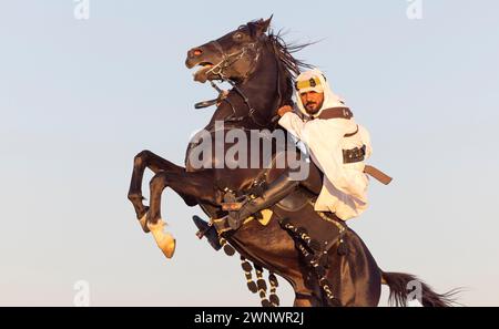 Ritratto di un uomo saudita con il suo stallone nero Foto Stock