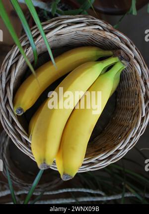 Mazzo di banane fresche all'interno del cestello di vimini con piante decorative intorno Foto Stock