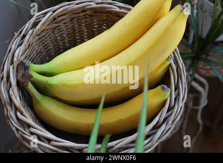 Banane intere in mazzo all'interno di una pentola fatta in casa nella cucina di casa Foto Stock
