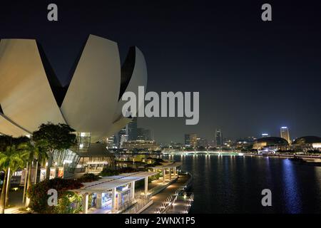 SINGAPORE - 6 NOVEMBRE 2023: Vista del Museo delle Scienze dell'Arte con lo skyline di Singapore sullo sfondo di notte. Foto Stock