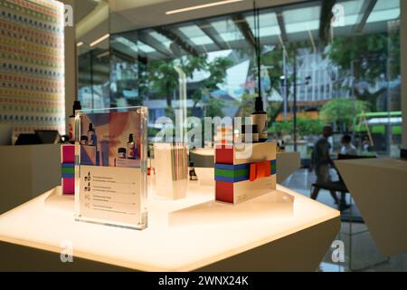 SINGAPORE - 06 NOVEMBRE 2023: Prodotti razionali in mostra all'interno del Tang Plaza di Singapore. Foto Stock