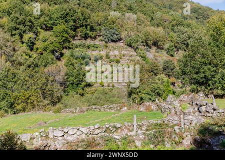 Piccola costruzione in pietra nella valle di Geres vicino a sistema, Viana do Castelo, Portogallo in un giorno d'autunno Foto Stock