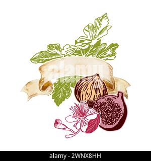 Grafica Fig, frutta, foglie, fiori. Illustrazione vettoriale. Etichetta con banner vintage per testo. Elemento di design per alimenti, cosmetici, carte, volantini, posta Illustrazione Vettoriale