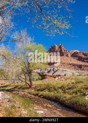 La formazione del castello, il Capitol Reef National Park, Torrey, Utah. Foto Stock