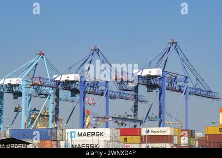 Puerto Quetzal, Guatemala - 19 gennaio 2024: Container impilati nel porto della città con gru portacontainer sullo sfondo Foto Stock