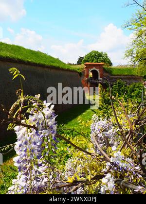 Ponte sul fossato nella Fortezza Petrovaradin, Petrovaradin, Novi Sad, Serbia. Fortificazioni in legno. Colline, fortificazioni sovradimensionate. Museo Foto Stock