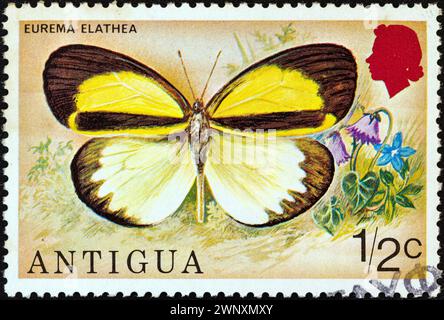 ANTIGUA - 1975 CIRCA: Un francobollo stampato ad Antigua dal numero delle "farfalle" mostra una farfalla Eurema elathea Foto Stock