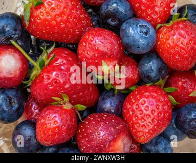 Immagine in alto di fragole lavate e mirtilli nel recipiente Foto Stock