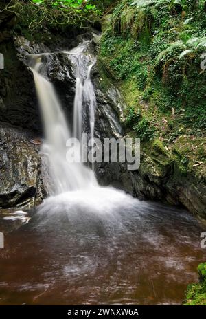 Cascata presso il magico puck Glen a piedi, Benmore in Argyll Forest Park, vicino a Dunoon, sul Cowal peninsula, Scozia Foto Stock