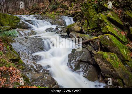 Cascata Szepit sul torrente Hylaty. Montagne Bieszczady. Carpazi orientali, Polonia. Foto Stock