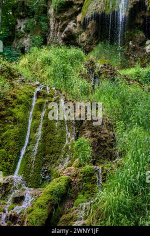 Maestosa cascata: Uracher Wasserfall nel verde del paesaggio della foresta. Rifugio tranquillo: Uracher Wasserfall - Sinfonia della natura nel nero della Germania Foto Stock