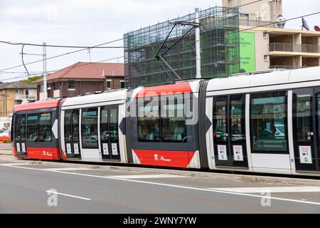 Il treno leggero di Sydney percorre Anzac Parade a Kensington Randwick, sobborghi orientali di Sydney, NSW, Australia Foto Stock