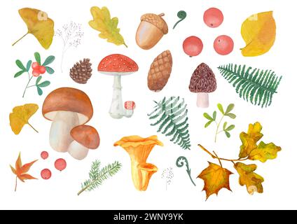 Serie di funghi autunnali, foglie, rami di pino, abete rosso, fragole, coni. Acquerello illustrazione botanica disegnata a mano su sfondo bianco. Wate Foto Stock