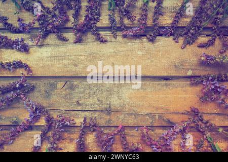 Fiori di lavanda e salvia su un tavolo di legno da vicino. Tavole orizzontali di legno antico scuro con fiori viola e blu e foglie tutt'intorno. Ancora Foto Stock