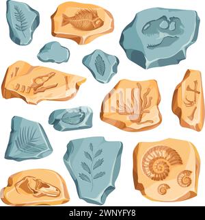 Fossili archeologici. Ammoniaca e fossile marino, antica impronta rettile sulla pietra, stampa di piante a foglia nello scheletro di dinosauro di roccia scavo preistorico set recente illustrazione vettoriale Illustrazione Vettoriale