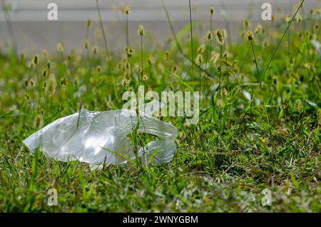 l'inquinamento da plastica sta raggiungendo livelli intollerabili, troppa plastica dispersa in natura, nei mari e negli oceani. Qui prato e rifiuti di plastica. riciclaggio Foto Stock