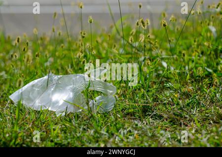 l'inquinamento da plastica sta raggiungendo livelli intollerabili, troppa plastica dispersa in natura, nei mari e negli oceani. Qui prato e rifiuti di plastica. riciclaggio Foto Stock