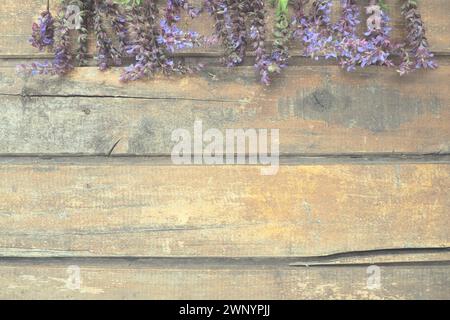 Fiori di lavanda e salvia su un tavolo di legno da vicino. Tavole orizzontali di legno antico scuro con fiori viola e blu e foglie intorno ai bordi Foto Stock