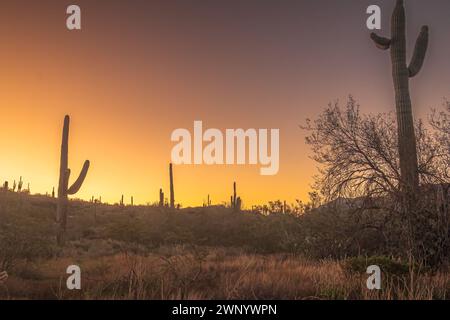 Il Sole comincia a sorgere sull'Arizona Foto Stock