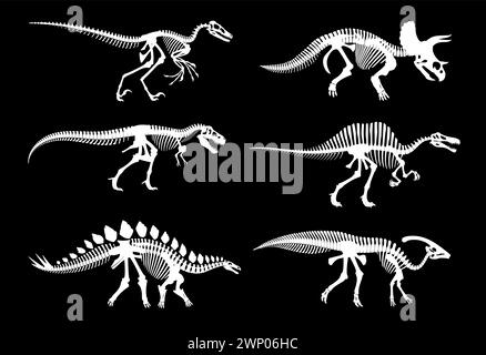 Scheletri fossili di dinosauro e impronte di ossa dino giurassiche, sagome bianche vettoriali. Archeologia dei dinosauri scheletri fossili di rettili estinti, T-rex t Illustrazione Vettoriale