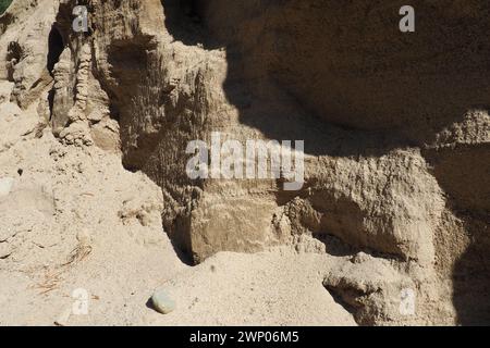 L'arenaria è una roccia sedimentaria frammentaria, un aggregato omogeneo o o stratificato di grani frammentari e grani di sabbia legati da qualsiasi minerale Foto Stock