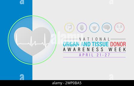 National Organ and Tissue Donor Awareness Week (settimana nazionale di sensibilizzazione dei donatori di organi e tessuti), osservata ogni anno dal 21 al 27 aprile, banner vettoriale, volantino, poster e modello di social media. Illustrazione Vettoriale