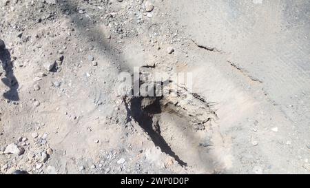 ricercare i tipi di terreno per scoprire i tipi, i tipi e le miscele presenti nella miscela di terreno Foto Stock