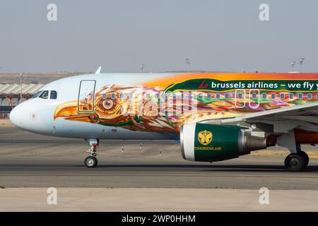 Aereo di linea Airbus A320 di Bruxelles Airlines con decorazione speciale Foto Stock