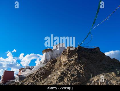 Ampia vista del forte Namgyal Tsemo sulla cima del picco Namgyal, costruito dal re Tashi Namgyal nel XVI secolo. Questa struttura poteva essere vista da ogni parte Foto Stock