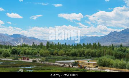 Affacciato sulla città di Leh dal palazzo di Leh, offre vista panoramica con cielo blu e nuvole bianche. La città si trova nella valle dell'alto fiume Indo ad An Foto Stock