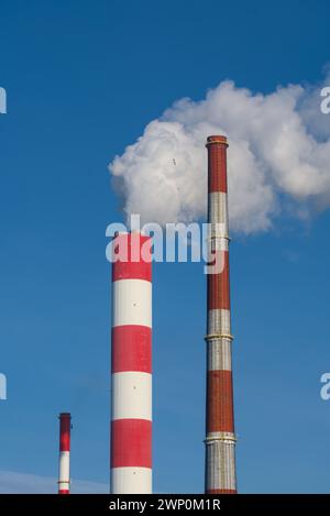 gli uccelli che volano intorno al fumo dai camini della centrale elettrica sparati in verticale Foto Stock