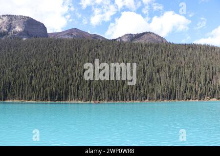 Un quadro pulito e chiaro degli alberi sempreverdi della foresta con acqua blu e montagne, nuvole e cielo blu sullo sfondo Foto Stock