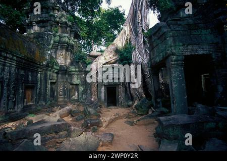 Rovine con radici arboree, raccolte nel 1995, Ta Prohm, complesso Angkor Wat, Siem Riep, Cambogia Foto Stock