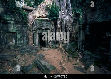 Rovine con radici arboree, raccolte nel 1995, Ta Prohm, complesso Angkor Wat, Siem Riep, Cambogia Foto Stock