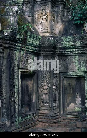 Rovine con radici arboree, raccolte nel 1995, Ta Prohm, complesso Angkor Wat, Siem Riep, Cambogia Foto Stock