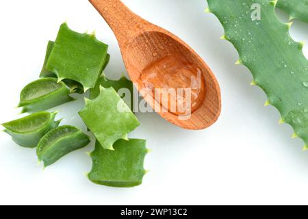 Foglie fresche e fette di aloe vera, cucchiaio di legno con gel di aloe vera su sfondo bianco. Vista dall'alto. Concetto di cosmetici naturali. Foto Stock