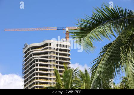 Ammira attraverso le foglie di palma la gru a torre e l'industria edile incompiuta in un paese tropicale Foto Stock