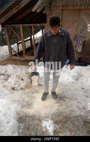 uomo che spalma sale per strada in una giornata invernale spalmando sale per strada in inverno Foto Stock