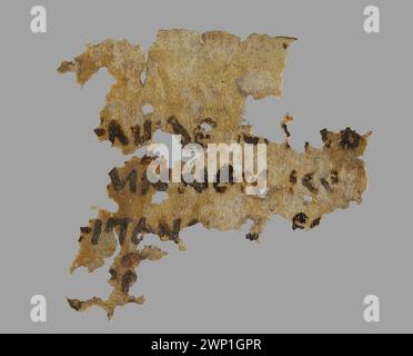 Frammento di un folio da un codice copiato da uno scrittore sconosciuto tra il IX e il XIV secolo. Il manoscritto fa parte della collezione nubiana, conservata su pergamena per la ricerca storica. Foto Stock