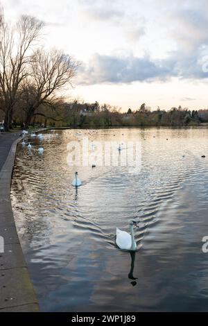 Linlithgow Loch è il più grande lago naturale di acqua dolce del Lothian Foto Stock