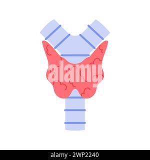 Ghiandola tiroidea umana, cartella medica per studiare endocrinologia, illustrazione del vettore anatomico Illustrazione Vettoriale
