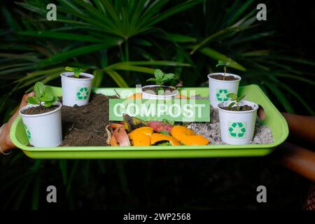 il terreno compostato ricicla i bicchieri di carta e le verdure di scarto Foto Stock