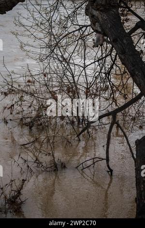 Inondazione del fiume Ebro attraverso Saragozza, Aragona, Spagna Foto Stock