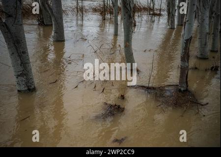 Inondazione del fiume Ebro attraverso Saragozza, Aragona, Spagna Foto Stock