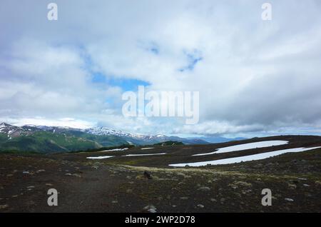 Paesaggio vulcanico di montagna nel parco nazionale di Villarrica, vegetazione sparsa, clima coperto nuvole basse, natura della Patagonia, Cile Foto Stock