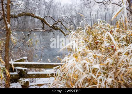 Vista del paesaggio invernale lungo il fiume Watauga presso il Sycamore Shoals State Historic Park di Elizabethton, Tennessee, Stati Uniti Foto Stock