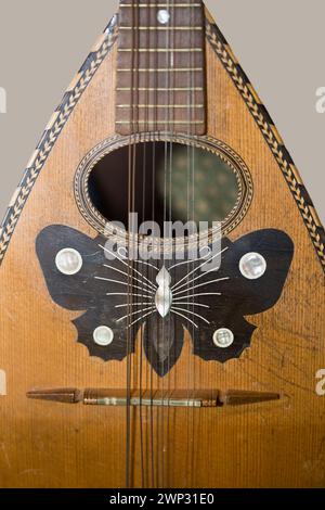 Decorazione Soundhole di un liuto Foto Stock