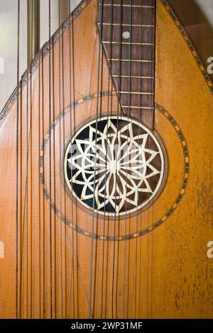 Decorazione Soundhole di un liuto Foto Stock